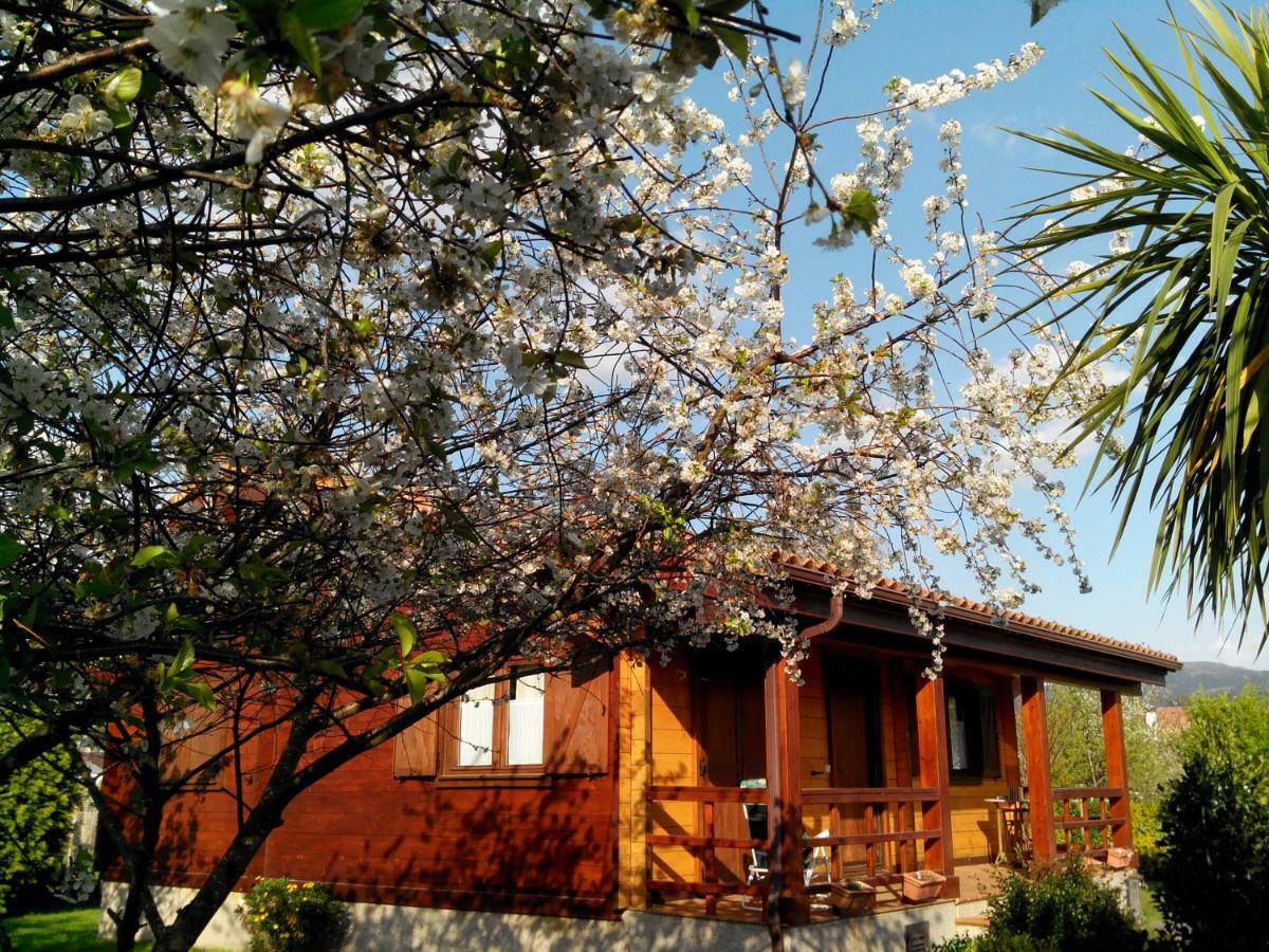 Ribadumia Mi Cabana 빌라 외부 사진